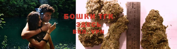 прущий лед Инта