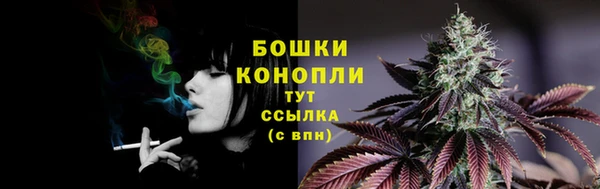 прущий лед Инта