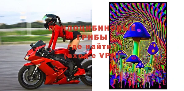 гидропоника Иннополис
