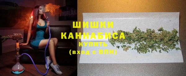 гидропоника Иннополис