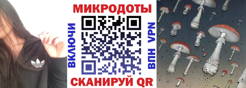 Купить  Верхотурье  Псилоцибиновые грибы Cubensis 