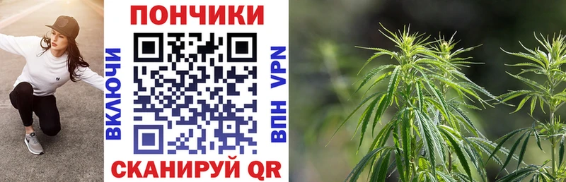 Купить где  Верхотурье  Бошки марихуана Amnesia 